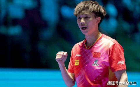 4-0！林高远横扫苦主张本智和，争回颜面，与马龙争夺男单冠军