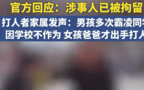 原创
            父亲替女儿殴打霸凌者被拘，“以暴制暴”还是“依法维权”