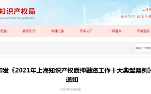 2021年上海知识产权质押融资工作十大典型案例