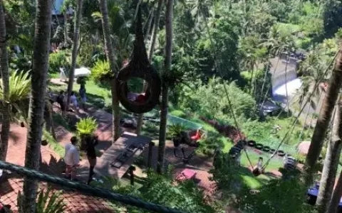 网红旅游地真的靠谱吗？这些雷区景点你可千万别去！